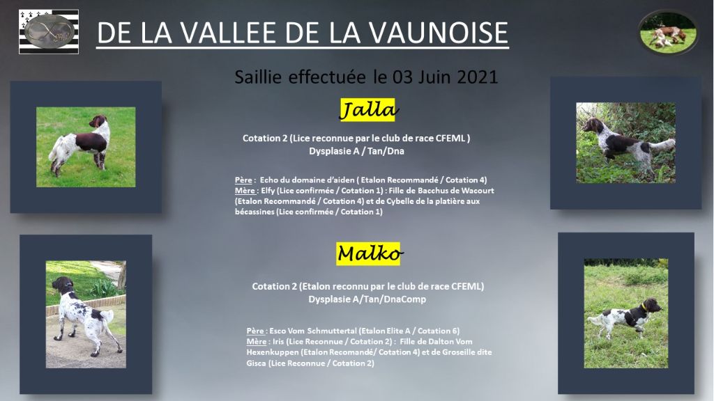 De La Vallée De La Vaunoise - Saillie de Jalla le 03 Juin 2021
