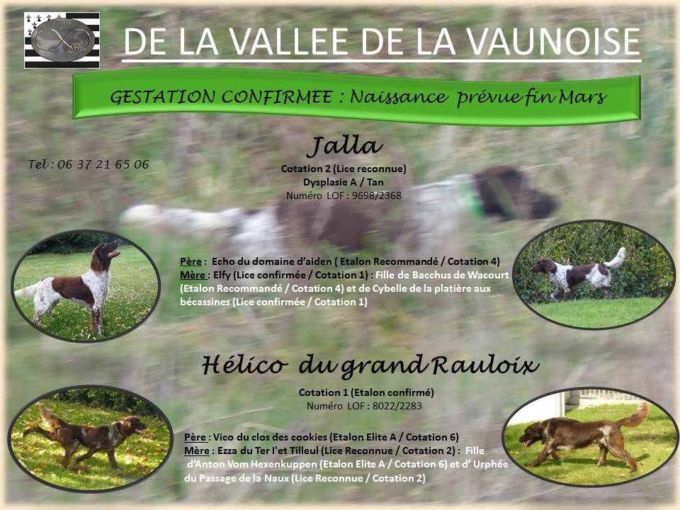 De La Vallée De La Vaunoise - Gestation de Jalla Confirmée